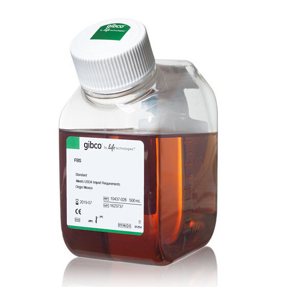 gibco南美胎牛血清(墨西哥血源10437028)